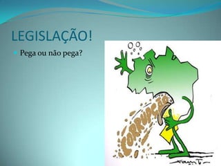 LEGISLAÇÃO!
 Pega ou não pega?
 