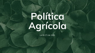 Política
Agrícola
Lei 8.171 de 1991
 