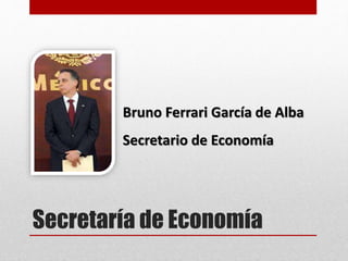 Secretaría de Economía
Bruno Ferrari García de Alba
Secretario de Economía
 