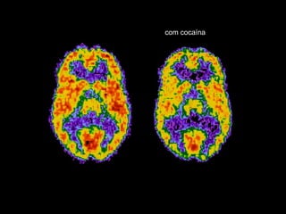 com cocaína 