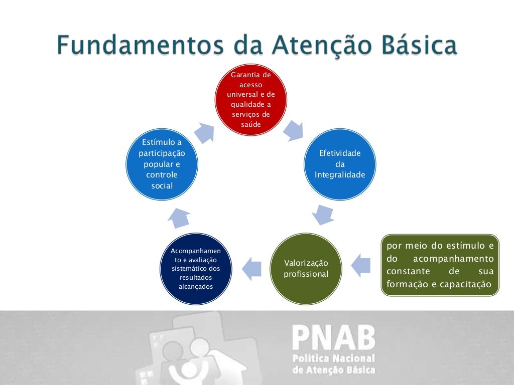 Principios Da Atenção Básica - BRAINCP