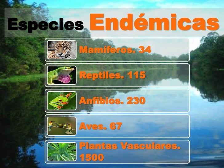 Resultado de imagen para especies endemicas colombia estadistica
