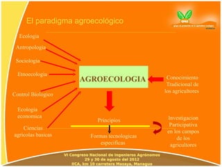 El paradigma agroecológico
  Ecologia
 Antropologia

 Sociologia

  Etnoecologia
                    AGROECOLOGIA             Conocimiento
                                             Tradicional de
                                            los agricultores
Control Biologico

  Ecologia
  economica                                  Investigacion
                        Principios
                                              Participativa
    Ciencias
                                             en los campos
agricolas basicas     Formas tecnologicas        de los
                          especificas         agricultores
 