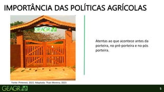 5
IMPORTÂNCIA DAS POLÍTICAS AGRÍCOLAS
Fonte: Pinterest, 2022. Adaptada: Thaís Moreira, 2023.
Atentas ao que acontece antes da
porteira, no pré-porteira e no pós
porteira.
 