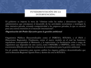 FUNDAMENTACIÓN DE LA
INTERVENCIÓN:
El gobierno se impone la meta de “eliminar todas las trabas y distorsiones legales y
administrativas que entorpecen el desarrollo de las actividades económicas y restringen la
libre iniciativa privada, restando competitividad a las empresas privadas, la que es esencial
para una exitosa inserción en el mercado internacional”.

Organización del Poder Ejecutivo para la gestión ambiental
Organismos Públicos Descentralizados como el INRENA, SENASA, y el INIA y
Direcciones Regionales). Finalmente, existe el nuevo modelo en el cual las funciones
reguladoras corresponden al Ministerio, y la supervisión y la fiscalización están a cargo de
organismos que dependen de otro sector, como OSINERG u OSIPTEL, entre otros. Esta
coexistencia dificulta aún más los esfuerzos de coordinación para la gestión ambiental.
En tal sentido tomaremos para nuestro análisis los órganos públicos descentralizados que
será la dirección Regional Agraria Puno y dentro de esta la SENASA.

 