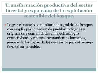 Transformación productiva del sector
forestal y expansión de la explotación
sostenible del bosque.
 Lograr el manejo comunitario integral de los bosques
con amplia participación de pueblos indígenas y
originarios y comunidades campesinas, agro
extractivistas, y nuevos asentamientos humanos,
generando las capacidades necesarias para el manejo
forestal sustentable.
 