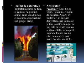  Incendiile naturale, o      Activitatile
  importanta sursa de fum      "casnice" sunt, fie ca
  si cenusa, se produc         vrem, fie ca nu, o sursa
  atunci cand umidita-tea      de poluare. Astazi, in
  climatului scade natural     multe tari in curs de
  sub pragul critic.           dezvoltare, asa cum este
                               si tara noastra, lemnul de
                               foc este la fel de vital ca
                               si elementele, iar ca pret,
                               in unele locuri, are un
                               ritm de crestere mai
                               mare decat alimentele.
 