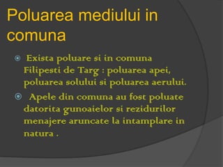 Poluarea mediului in
comuna
  Exista poluare si in comuna
  Filipesti de Targ : poluarea apei,
  poluarea solului si poluarea aerului.
  Apele din comuna au fost poluate
  datorita gunoaielor si rezidurilor
  menajere aruncate la intamplare in
  natura .
 
