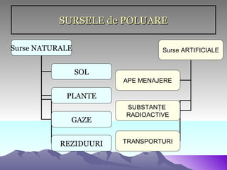 SURSELE de POLUARE

Surse NATURALE                  Surse ARTIFICIALE


                 SOL
                       APE MENAJERE

            PLANTE
                       SUBSTANŢE
                       RADIOACTIVE
             GAZE


           REZIDUURI   TRANSPORTURI
 