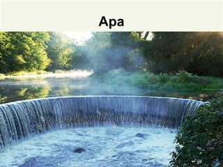 Apa
 