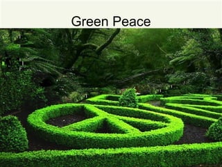 Green Peace
 