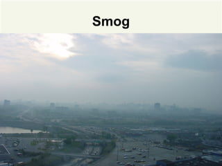Smog
 