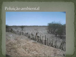 Poluição ambiental