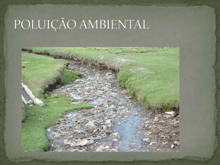 POLUIÇÃO AMBIENTAL