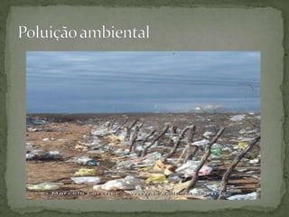 Poluição ambiental 