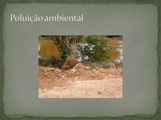 Poluição ambiental
