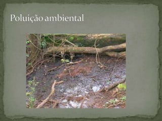 Poluição ambiental