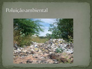 Poluição ambiental