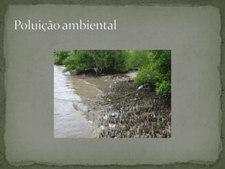 Poluição ambiental