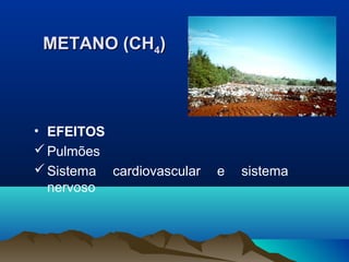 • EFEITOS
Pulmões
Sistema cardiovascular e sistema
nervoso
METANO (CHMETANO (CH44))
 