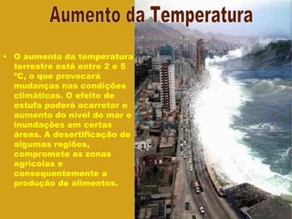 O aumento da temperatura terrestre está entre 2 e 5 ºC, o que provocará mudanças nas condições climáticas. O efeito de estufa poderá acarretar o aumento do nível do mar e inundações em certas áreas. A desertificação de algumas regiões, compromete as zonas agrícolas e consequentemente a produção de alimentos. Aumento da Temperatura 