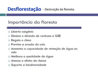 Desflorestação - Destruição da floresta.
 