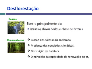 Desflorestação
Causas
Consequências  Erosão dos solos mais acelerada.
 Mudança das condições climáticas.
 Destruição de habitats.
 Diminuição da capacidade de renovação do ar.
 
