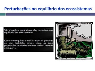 Perturbações no equilíbrio dos ecossistemas
 