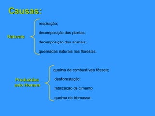 Causas:
Naturais
respiração;
decomposição das plantas;
decomposição dos animais;
queimadas naturais nas florestas.
Produzidas
pelo Homem
queima de combustíveis fósseis;
desflorestação;
fabricação de cimento;
queima de biomassa.
 