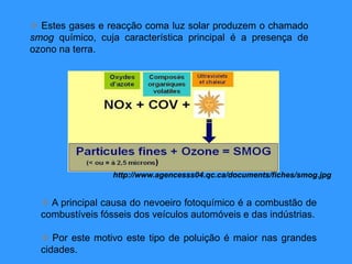 Estes gases e reacção coma luz solar produzem o chamado
smog químico, cuja característica principal é a presença de
ozono na terra.
 A principal causa do nevoeiro fotoquímico é a combustão de
combustíveis fósseis dos veículos automóveis e das indústrias.
 Por este motivo este tipo de poluição é maior nas grandes
cidades.
http://www.agencesss04.qc.ca/documents/fiches/smog.jpg
 