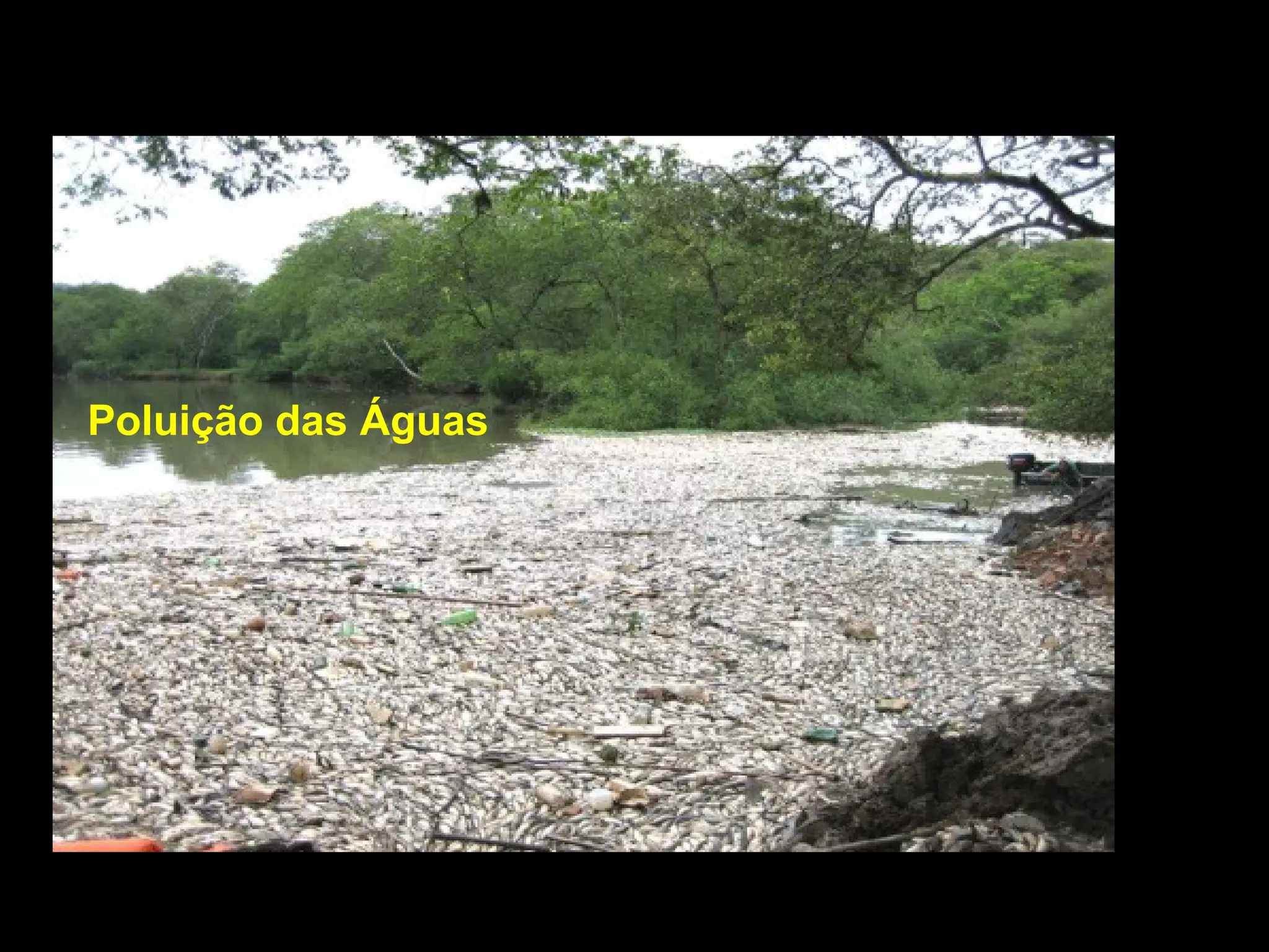 Poluicao da agua | PPT