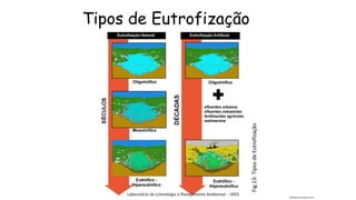 Tipos de Eutrofização
Biologiaesl.wordpress.com
Fig.13-TiposdeEutrofização
 
