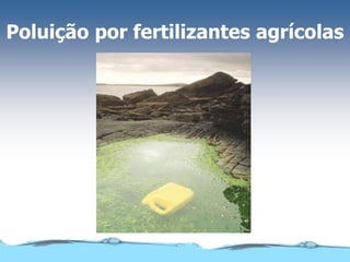 Poluição por fertilizantes agrícolas
 