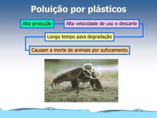 Poluição por plásticos
Alta produção
Longo tempo para degradação
Causam a morte de animais por sufocamento
Alta velocidade de uso e descarte
 