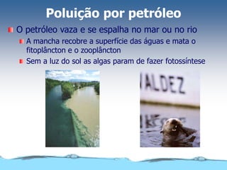 Poluição por petróleo
O petróleo vaza e se espalha no mar ou no rio
A mancha recobre a superfície das águas e mata o
fitoplâncton e o zooplâncton
Sem a luz do sol as algas param de fazer fotossíntese
 