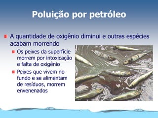Poluição por petróleo
A quantidade de oxigênio diminui e outras espécies
acabam morrendo
Os peixes da superfície
morrem por intoxicação
e falta de oxigênio
Peixes que vivem no
fundo e se alimentam
de resíduos, morrem
envenenados
 