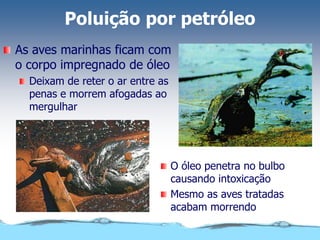Poluição por petróleo
As aves marinhas ficam com
o corpo impregnado de óleo
Deixam de reter o ar entre as
penas e morrem afogadas ao
mergulhar
O óleo penetra no bulbo
causando intoxicação
Mesmo as aves tratadas
acabam morrendo
 