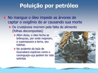 Poluição por petróleo
No mangue o óleo impede as árvores de
captar o oxigênio do ar causando sua morte
Os crustáceos morrem pela falta de alimento
(folhas decompostas)
Além disso, o óleo fecha as
brânquias, por onde respiram,
e superaquece a lama, seu
hábitat.
No acidente da baía de
Guanabara espécies como o
caranguejo-uça podem ter sido
extintas
 