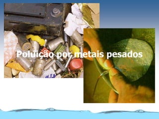 Poluição por metais pesados
 