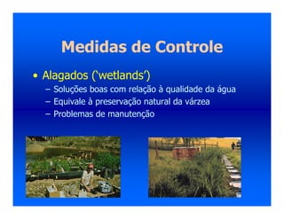 Medidas de Controle
• Alagados (‘wetlands’)
– Soluções boas com relação à qualidade da água
– Equivale à preservação natural da várzea
– Problemas de manutenção
 