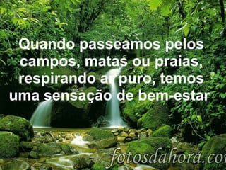       Quando passeamos pelos campos, matas ou praias, respirando ar puro, temos uma sensação de bem-estar . 