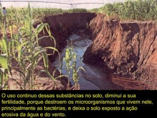 O uso continuo dessas substâncias no solo, diminui a sua
fertilidade, porque destroem os microorganismos que vivem nele,
principalmente as bactérias, e deixa o solo exposto a ação
erosiva da água e do vento.
 