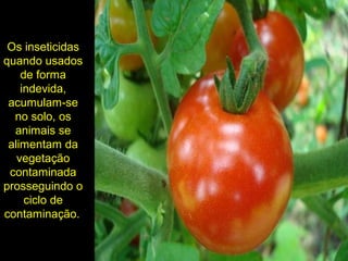 Os inseticidas
quando usados
de forma
indevida,
acumulam-se
no solo, os
animais se
alimentam da
vegetação
contaminada
prosseguindo o
ciclo de
contaminação.
 