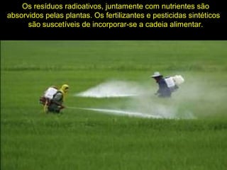Os resíduos radioativos, juntamente com nutrientes são
absorvidos pelas plantas. Os fertilizantes e pesticidas sintéticos
são suscetíveis de incorporar-se a cadeia alimentar.
 