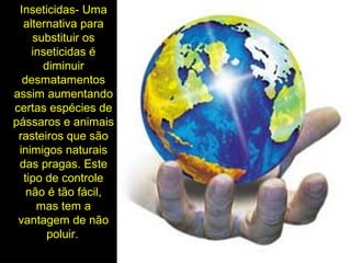 Inseticidas- Uma
alternativa para
substituir os
inseticidas é
diminuir
desmatamentos
assim aumentando
certas espécies de
pássaros e animais
rasteiros que são
inimigos naturais
das pragas. Este
tipo de controle
não é tão fácil,
mas tem a
vantagem de não
poluir.
 