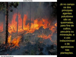 Já no campo
os dos
principais
agentes
poluidores
são as
queimadas,
para fins de
cultivo,
pecuária ou
mineração, e
o uso
indiscriminad
o de
agrotóxicos
nas
plantações.
 