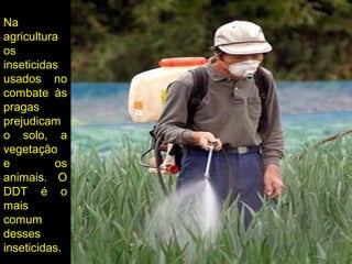 Na
agricultura
os
inseticidas
usados no
combate às
pragas
prejudicam
o solo, a
vegetação
e os
animais. O
DDT é o
mais
comum
desses
inseticidas.
 