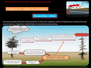 Ciências Naturais 8º ano do ensino básico – Catástrofes provocadas pelo homem   Poluição do ar – Efeitos no ecossistema As chuvas ácidas danificam directamente as raízes dos vegetais; retiram importantes minerais do solo, como cálcio ou magnésio, interferindo no crescimento das plantas; Chuvas ácidas – efeitos  