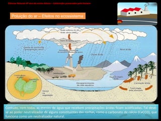 Ciências Naturais 8º ano do ensino básico – Catástrofes provocadas pelo homem   Em rios e lagos, a acidificação da água leva à destruição de grande parte dos organismos.   Pois, a  pH abaixo de 4.5 praticamente nenhum peixe sobrevive, assim:  Poluição do ar – Efeitos no ecossistema ->  Inibir a produção de enzimas  ->  Fazer circular metais pesados como o alumínio ->  Produção excessiva de muco nos peixes ->  Inibe o crescimento de fitoplâncton  Os ácidos na água vão: Chuvas ácidas – efeitos  Contudo, nem todas as massas de água que recebem precipitações ácidas ficam acidificadas. Tal deve-se ao poder neutralizador de alguns constituintes das rochas, como o carbonato de cálcio (CaCO3), que funciona como um neutralizador natural. 