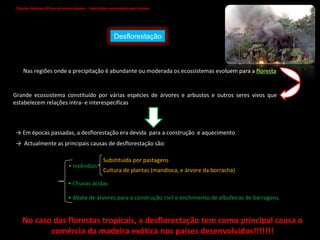 Ciências Naturais 8º ano do ensino básico – Catástrofes provocadas pelo homem   Nas regiões onde a precipitação é abundante ou moderada os ecossistemas evoluem para a  floresta Grande ecossistema constituído por várias espécies de árvores e arbustos e outros seres vivos que estabelecem relações intra- e interespecíficas  ->  Em épocas passadas, a desflorestação era devida  para a construção  e aquecimento ->  Actualmente as principais causas de desflorestação são: •  Incêndios  Substituída por pastagens Cultura de plantas (mandioca, e árvore da borracha) •  Chuvas ácidas •  Abate de árvores para a construção civil e enchimento de albufeiras de barragens.  No caso das florestas tropicais, a desflorestação tem como principal causa o comércio da madeira exótica nos países desenvolvidos!!!!!!! Desflorestação 